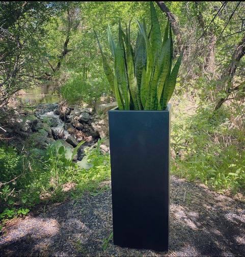 A tall, sleek metal planter with vibrant green snake plants, set in a serene outdoor natural environment.