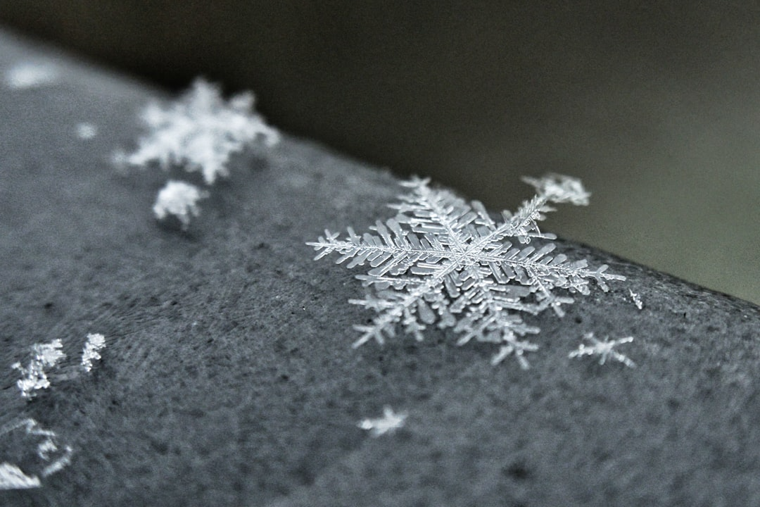 macro photo of a snowflake